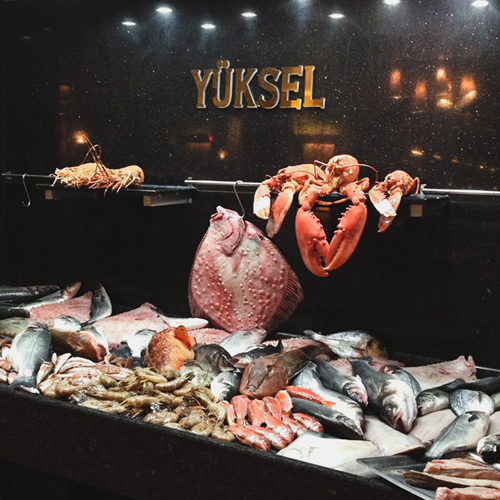 Yüksel Balık Yeşilköy