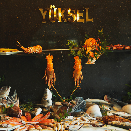 Yüksel Balık Yeşilköy