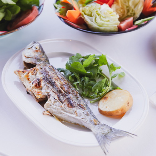 Yüksel Balık Yeşilköy